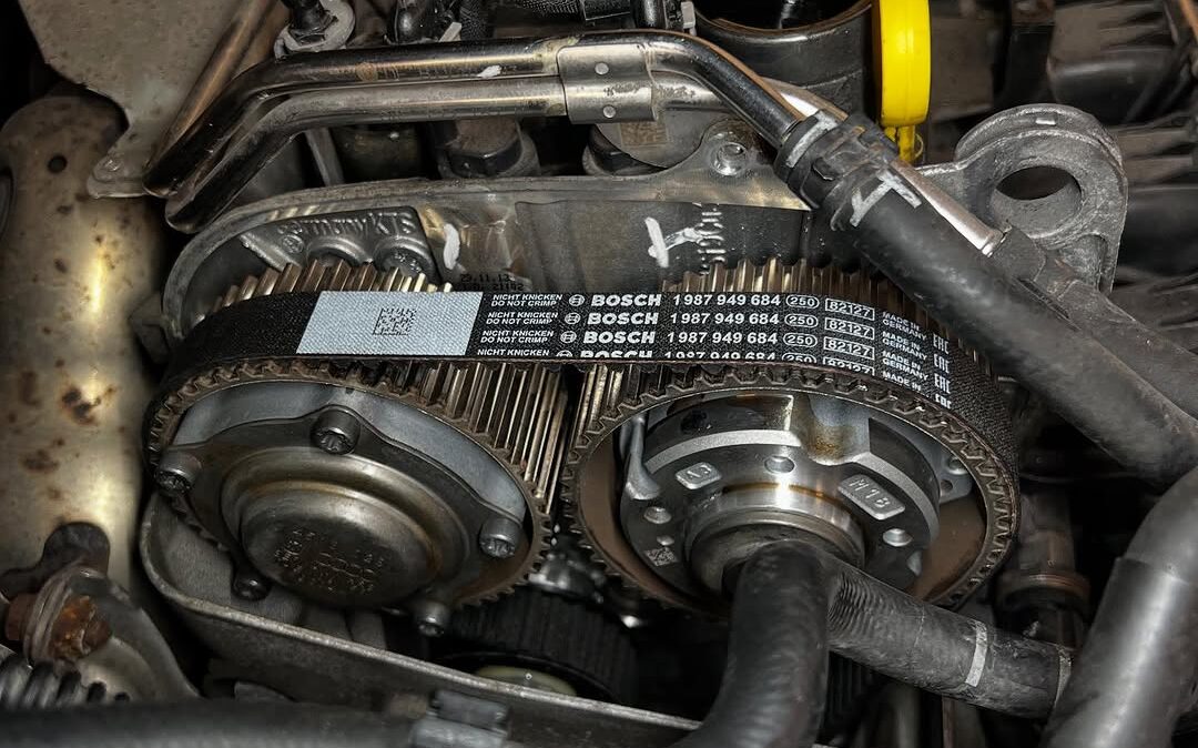 SnapInsta.to_494972962_17901540957174212_618871963544240661_n