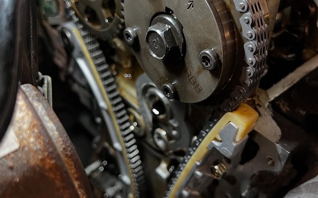 SnapInsta.to_501159679_17904943689174212_739057070116640415_n