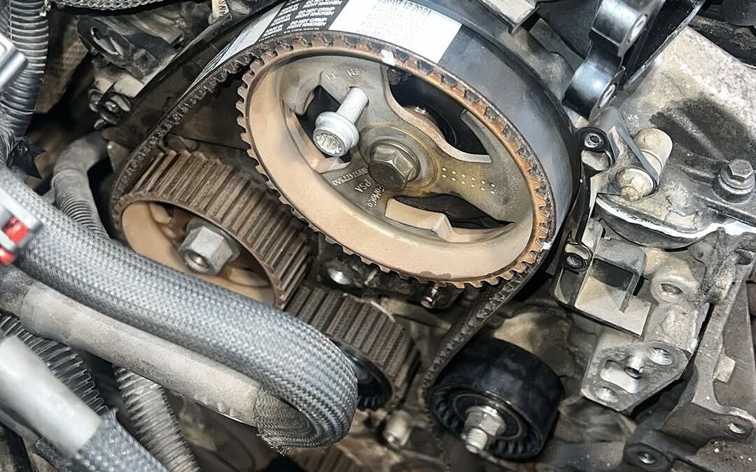 SnapInsta.to_504366537_17908436196174212_8864546893406330770_n