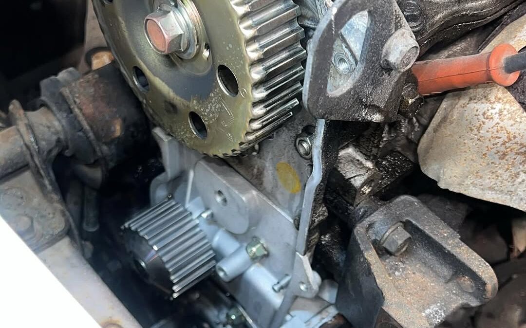 SnapInsta.to_510038251_17908436232174212_7312848775718804534_n