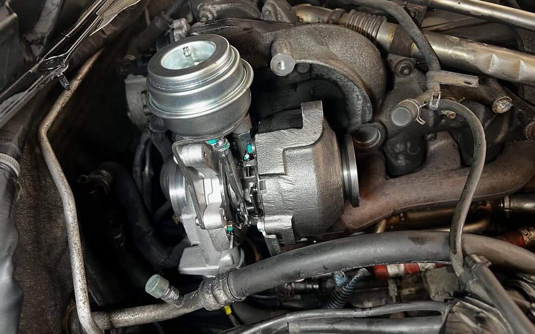 SnapInsta.to_520476005_17910968709174212_3200306201157969760_n