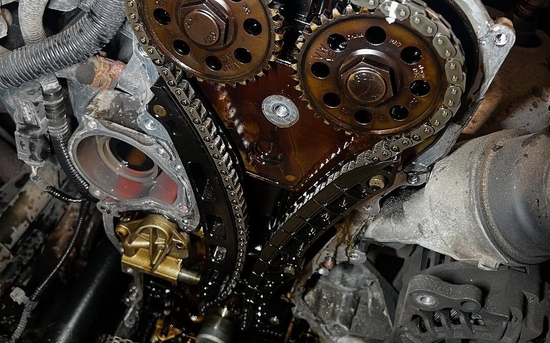 SnapInsta.to_522114267_17910968013174212_5371266191503231713_n