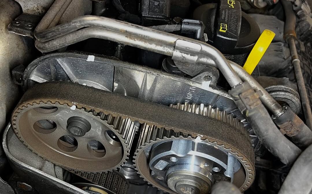 SnapInsta.to_526999045_17912377404174212_8500281789693729493_n