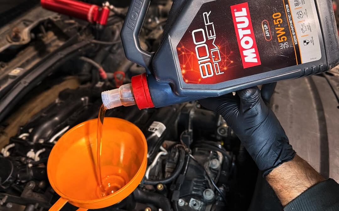 SnapInsta.to_543855465_17916991161174212_198002925801647432_n